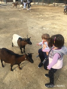 Sort que no hi ha foto de la caiguda