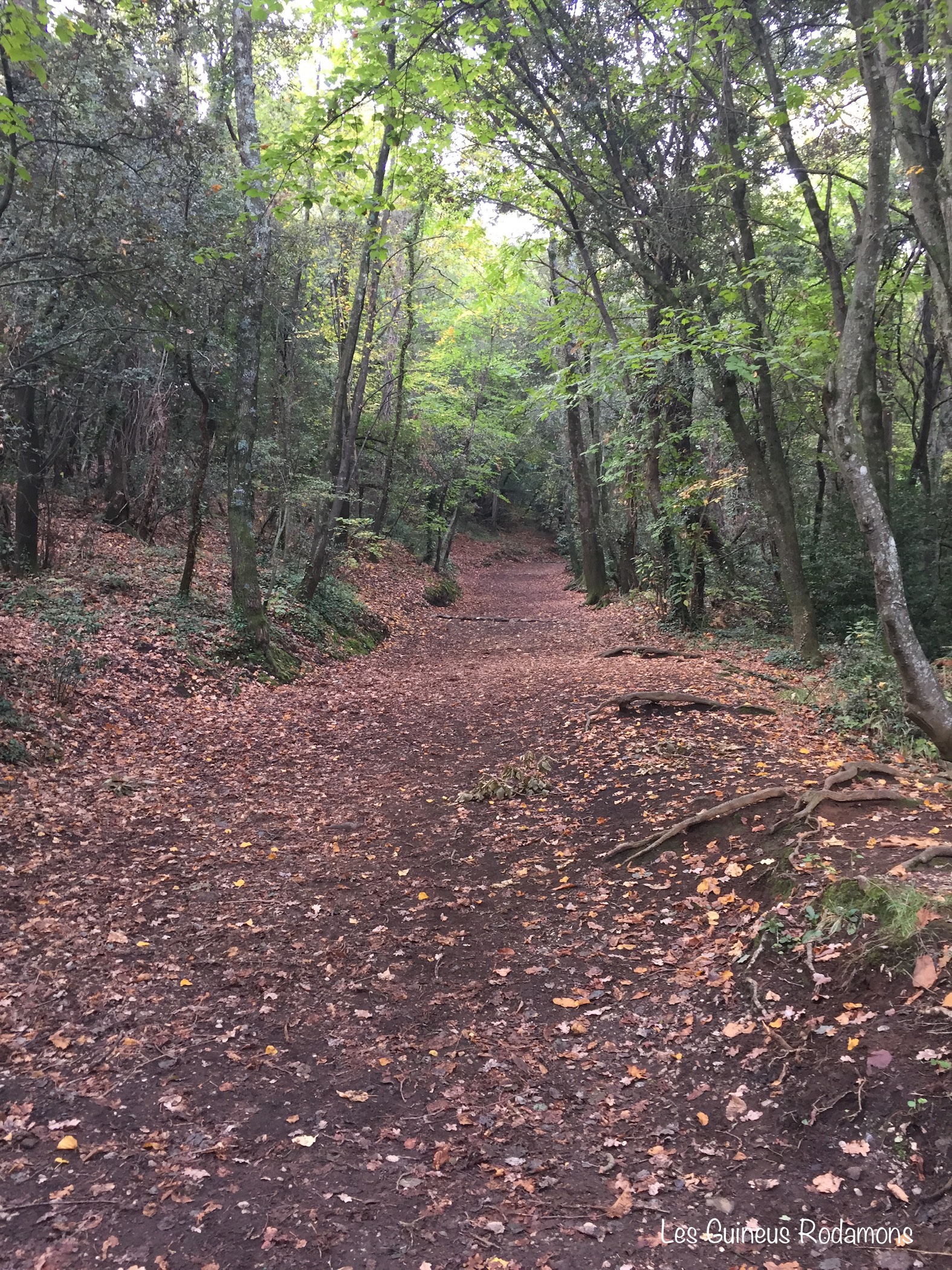 Camí al volcà de Santa Margarida